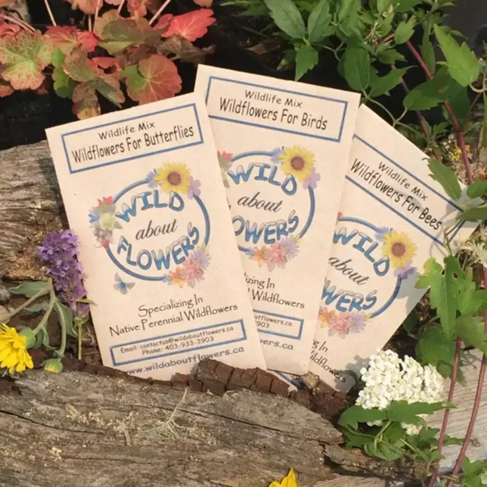 Wild About Flowers Seed Mix - Wildflowers for Butterflies