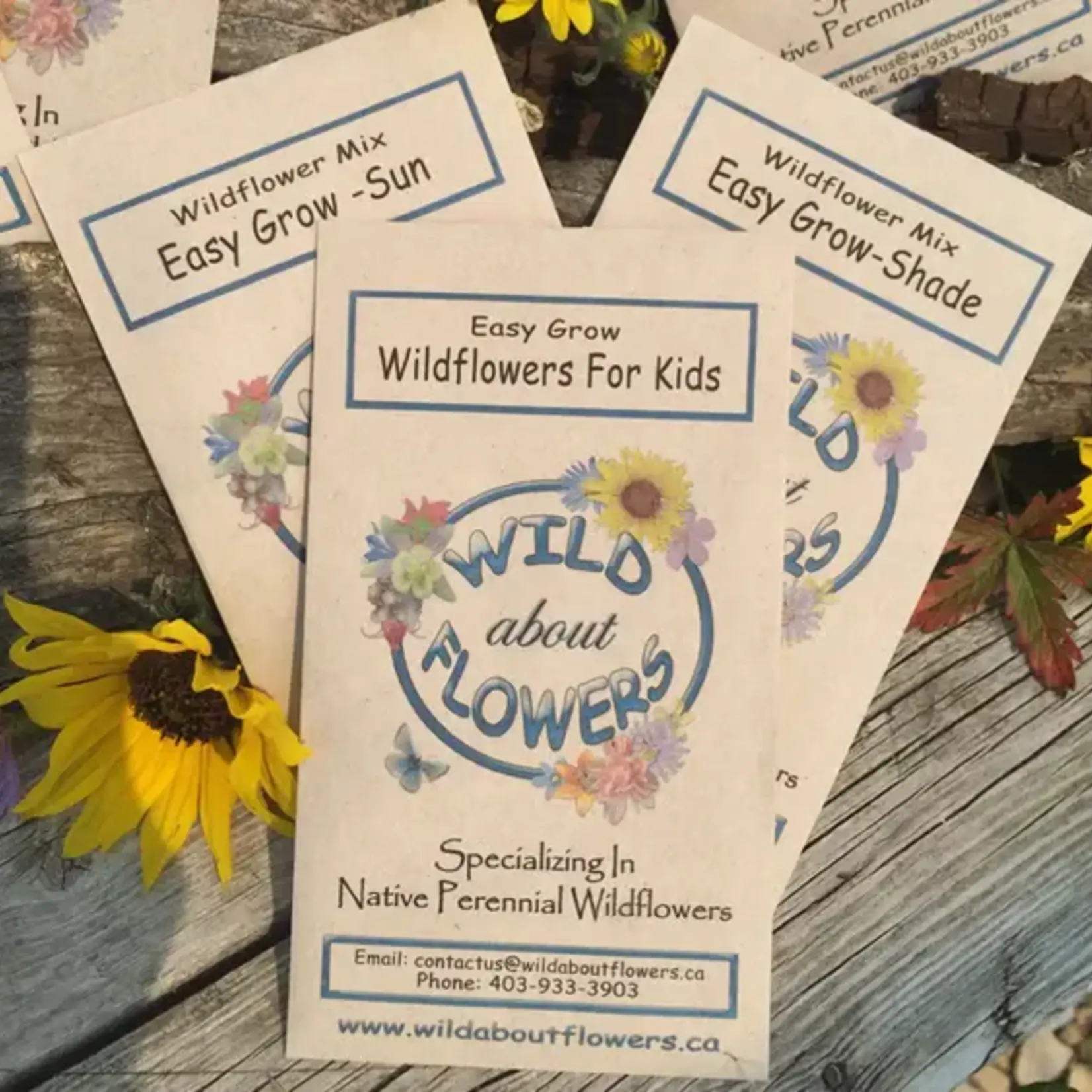 Wild About Flowers Seed Mix - Easy Grow Wildflowers for Kids