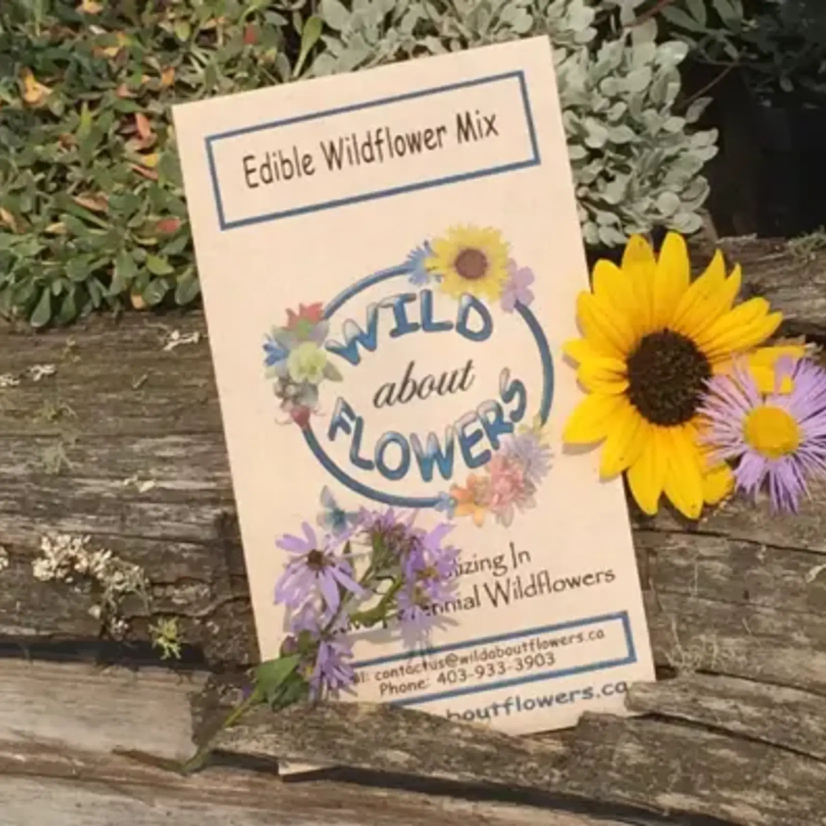 Wild About Flowers Seed Mix - Edible Wildflower Mix