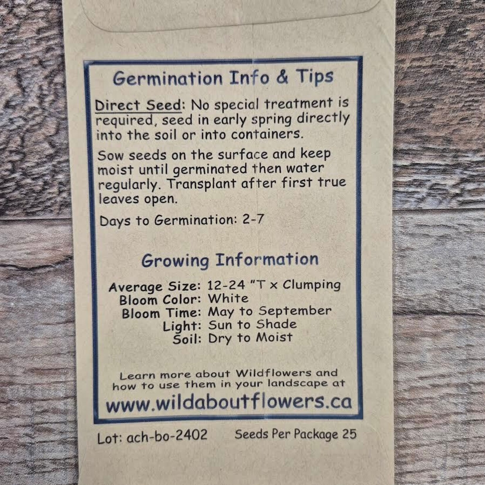 Wildflowers Seed Package - Yarrow