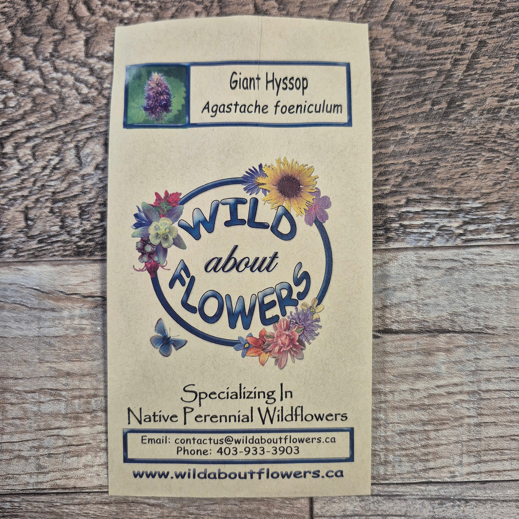 Wildflowers Seed Package - Giant Hyssop
