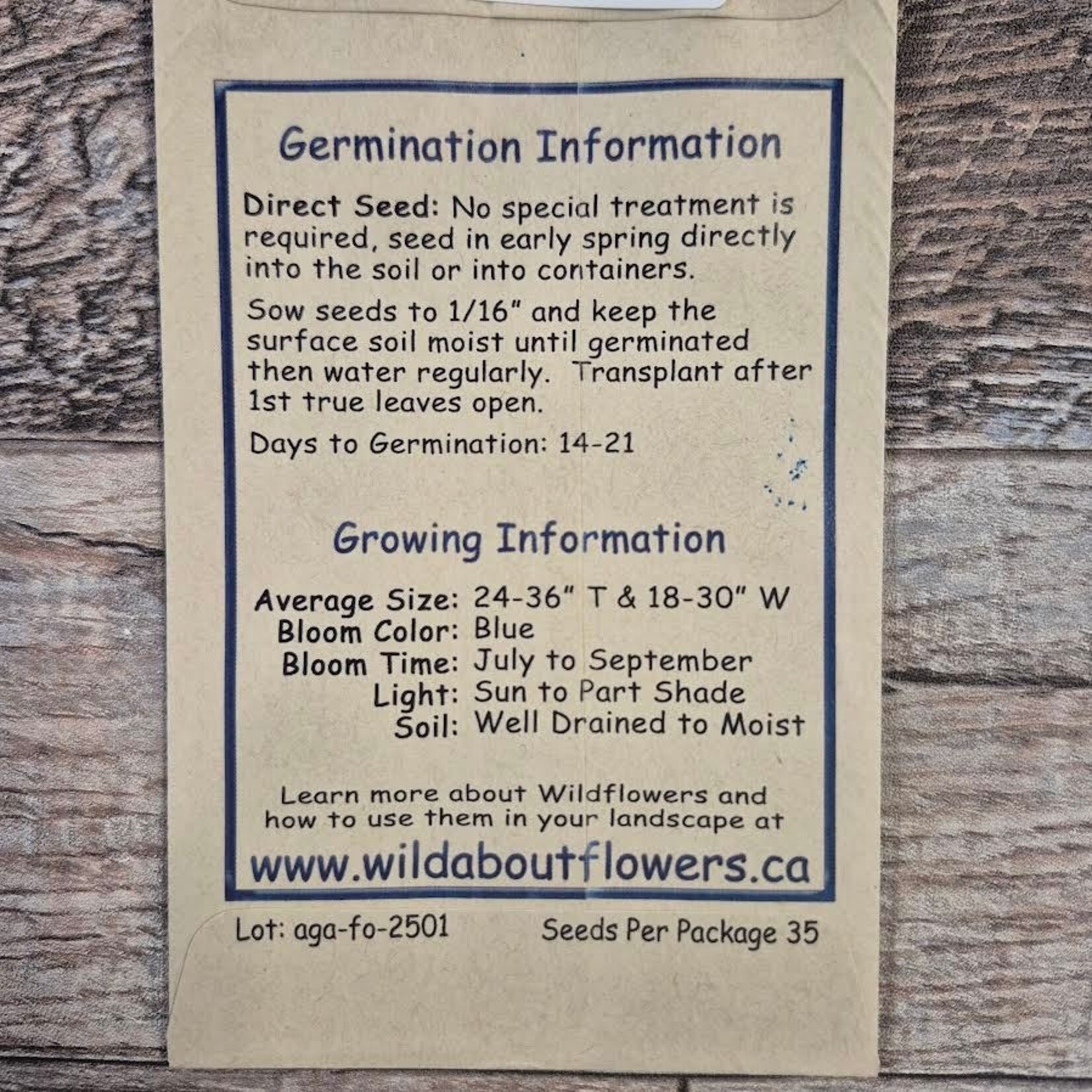 Wildflowers Seed Package - Giant Hyssop