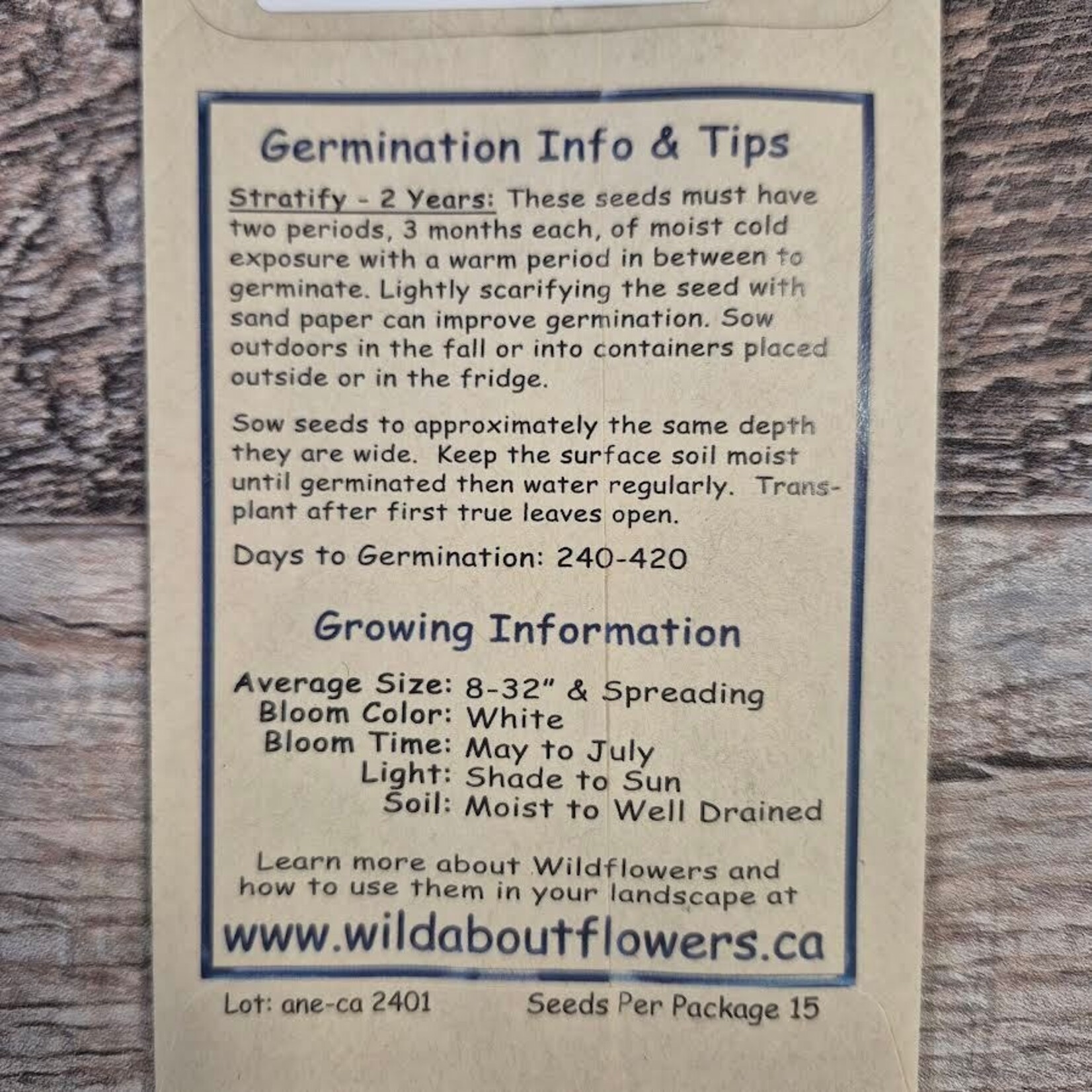 Wildflowers Seed Package - Canada Anemone