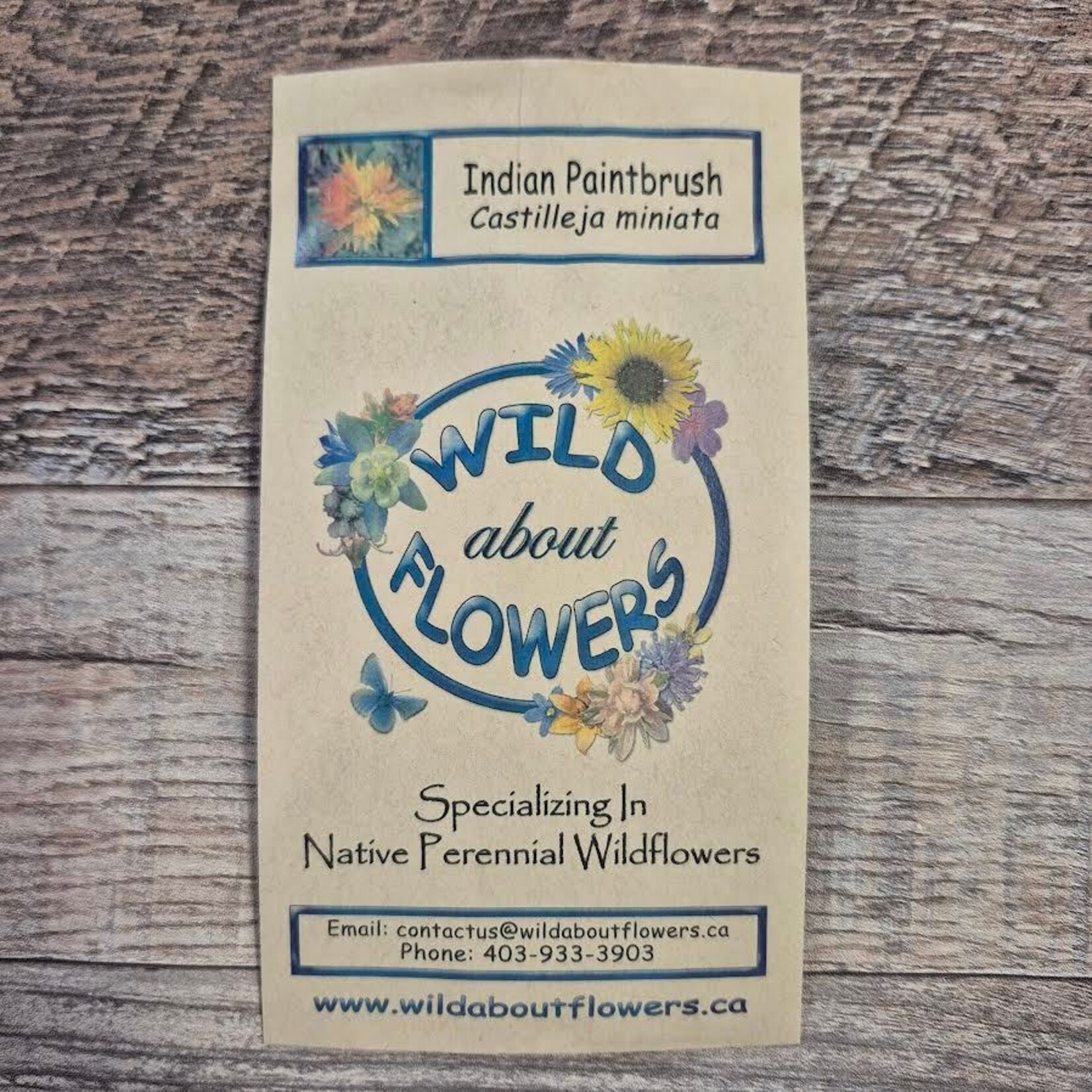 Wildflowers Seed Package - Indian Paintbrush