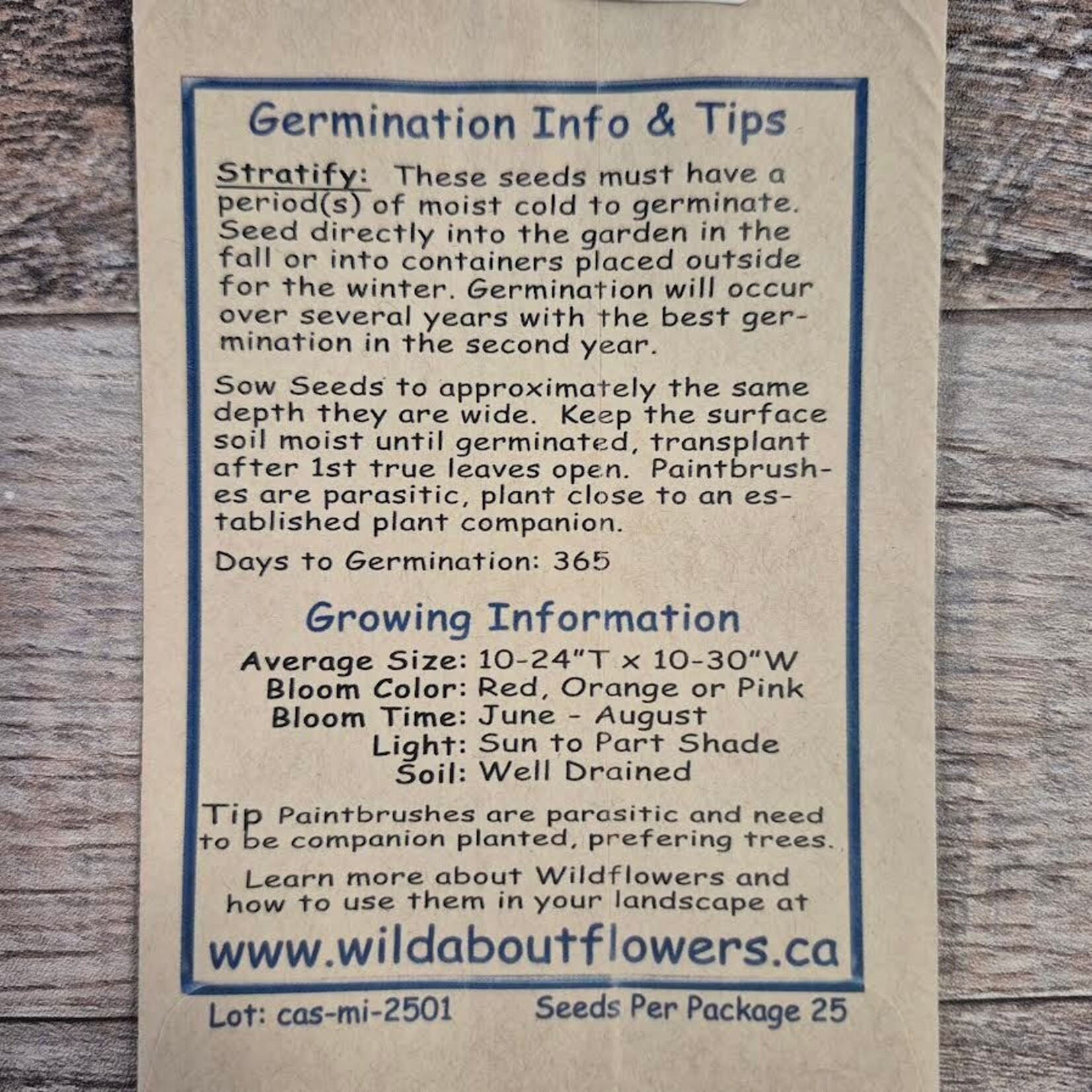 Wildflowers Seed Package - Indian Paintbrush