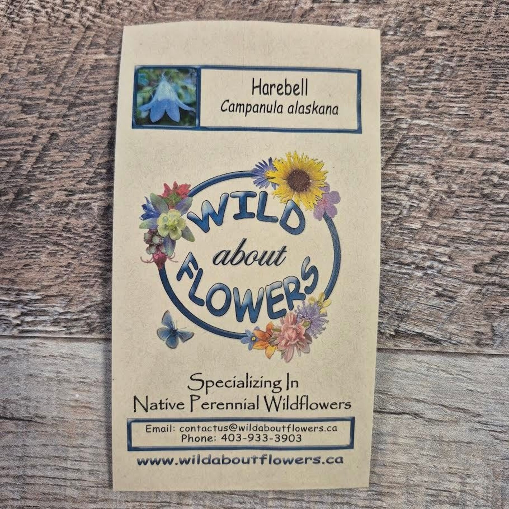 Wildflowers Seed Package - Harebell