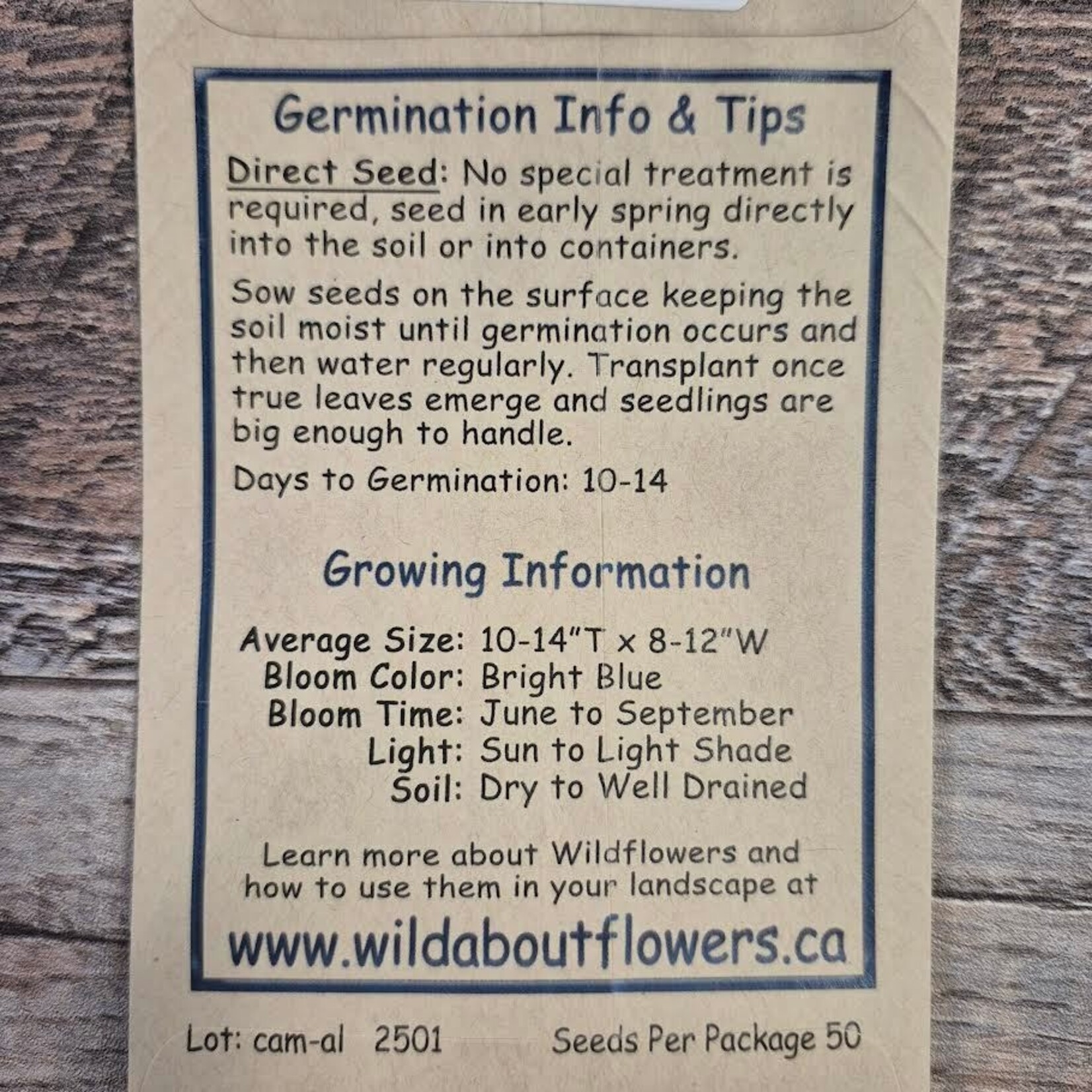 Wildflowers Seed Package - Harebell