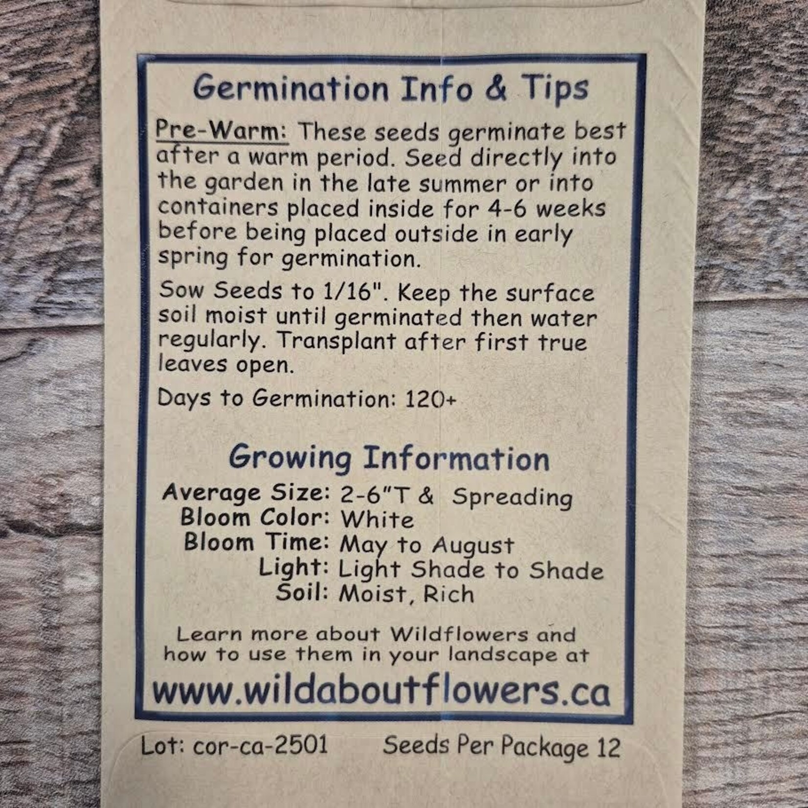 Wildflowers Seed Package - Bunchberry