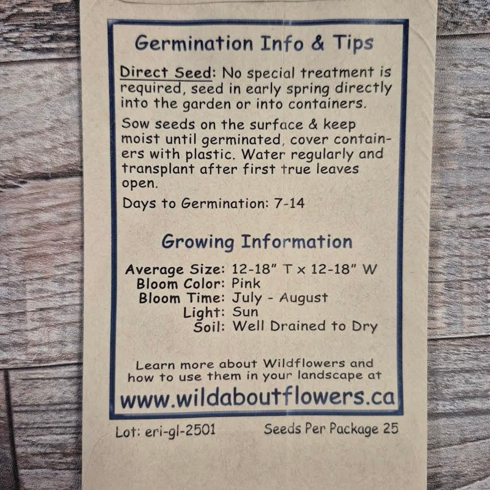 Wildflowers Seed Package - Smooth Fleabane