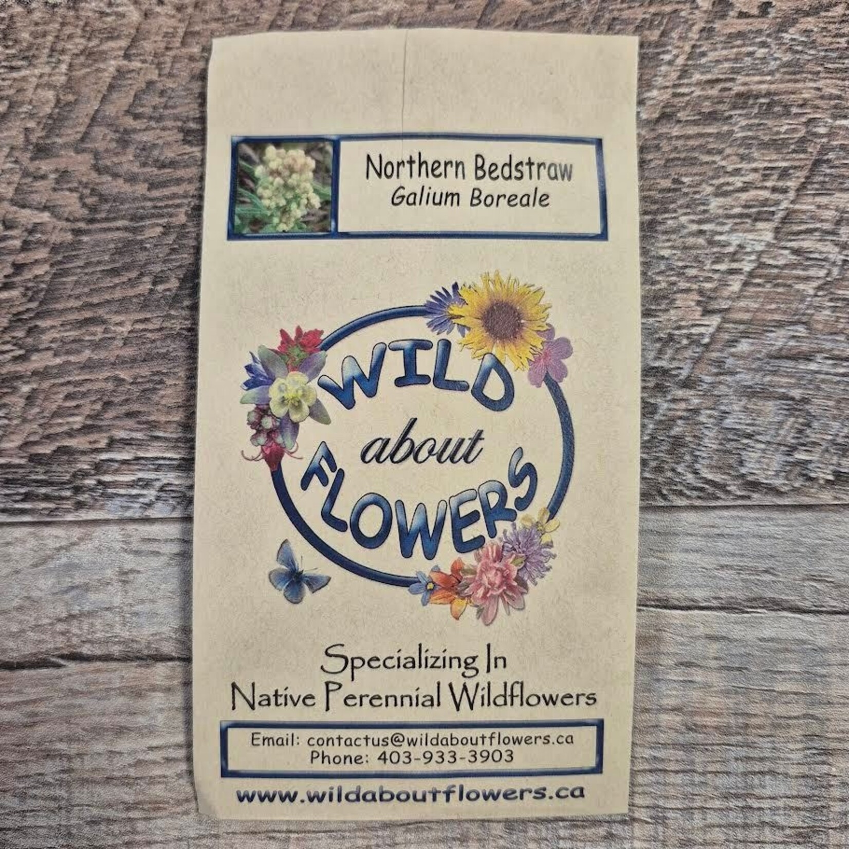 Wildflowers Seed Package - Northern Bedstraw