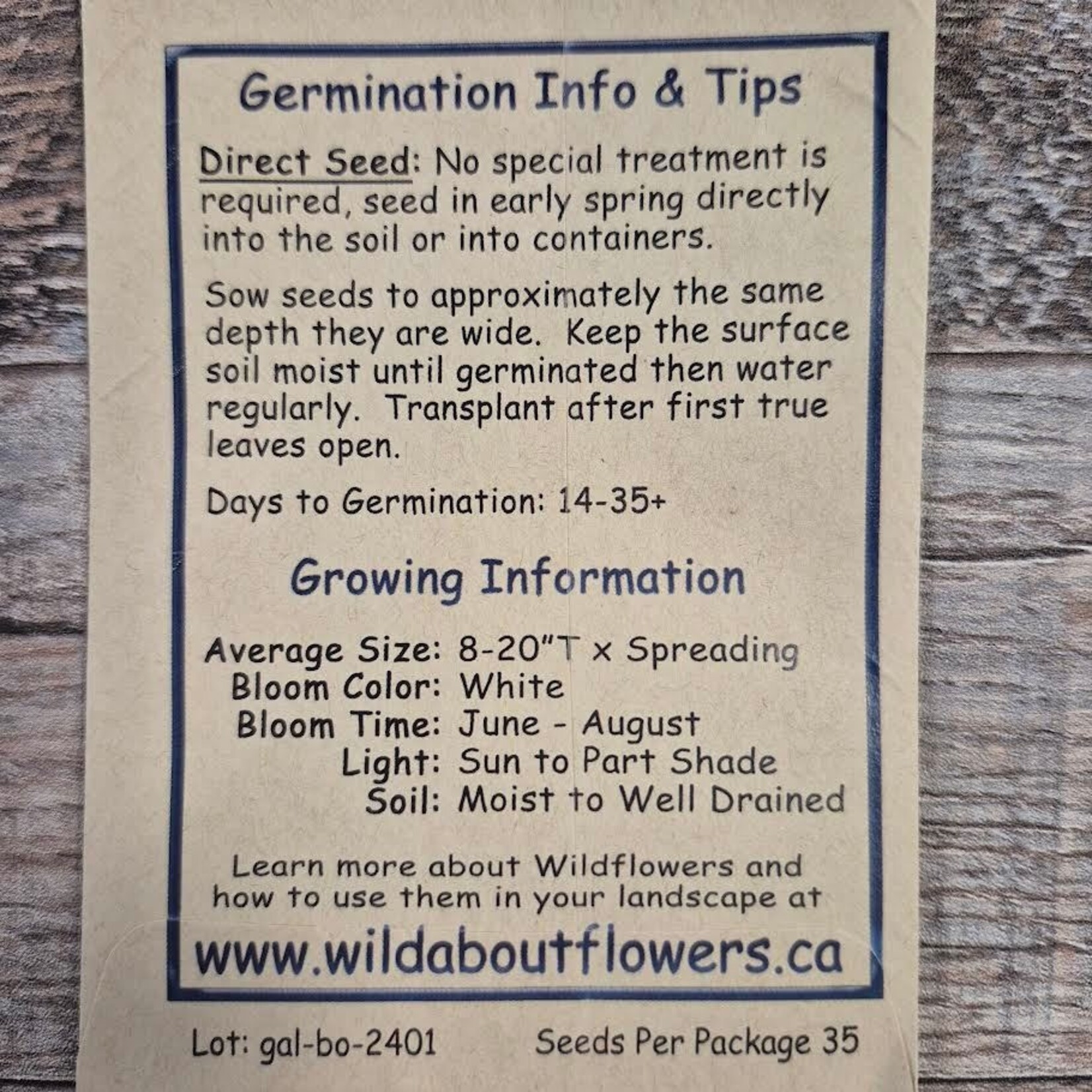 Wildflowers Seed Package - Northern Bedstraw