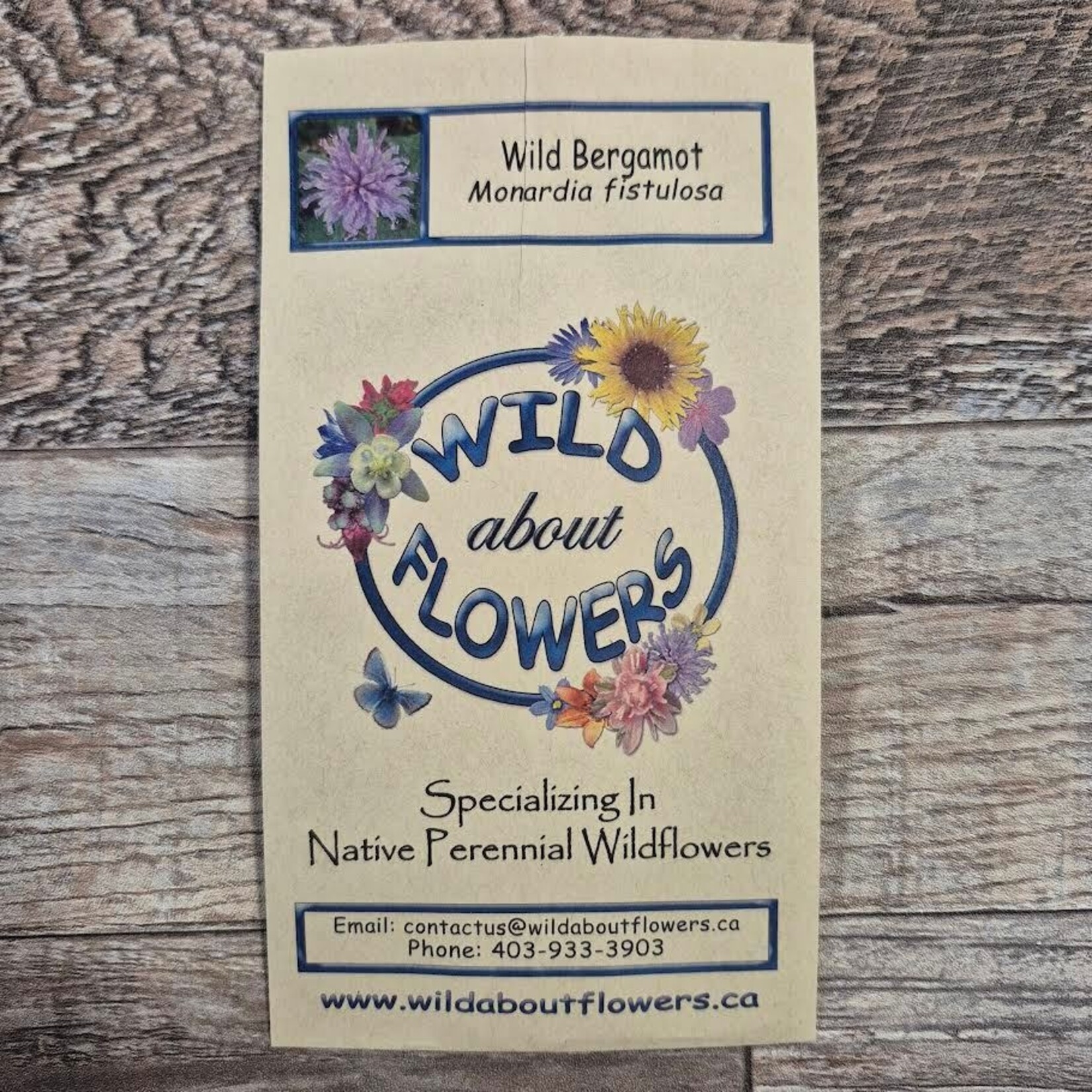 Wildflowers Seed Package - Wild Bergamot