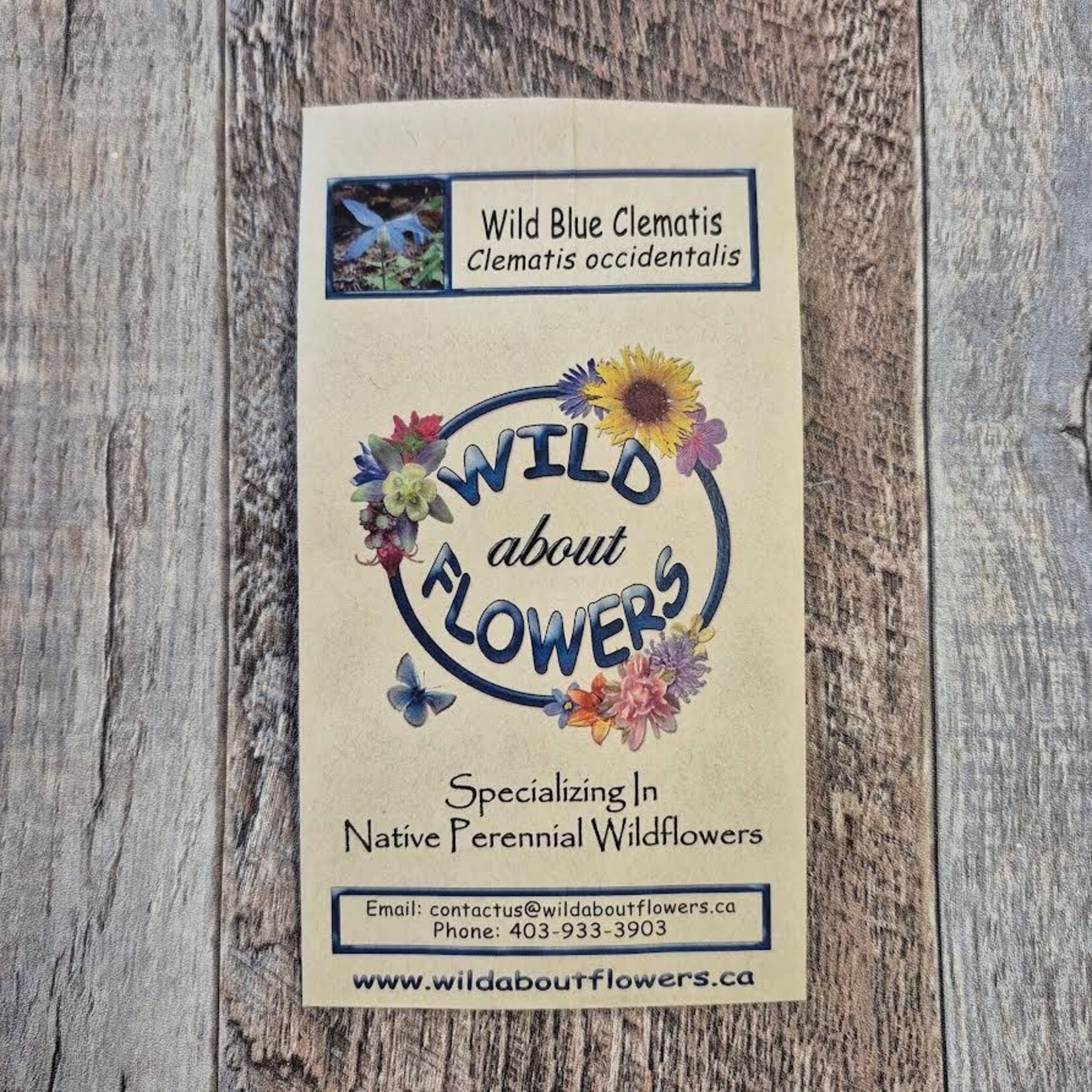 Wildflowers Seed Package - Wild Blue Clematis