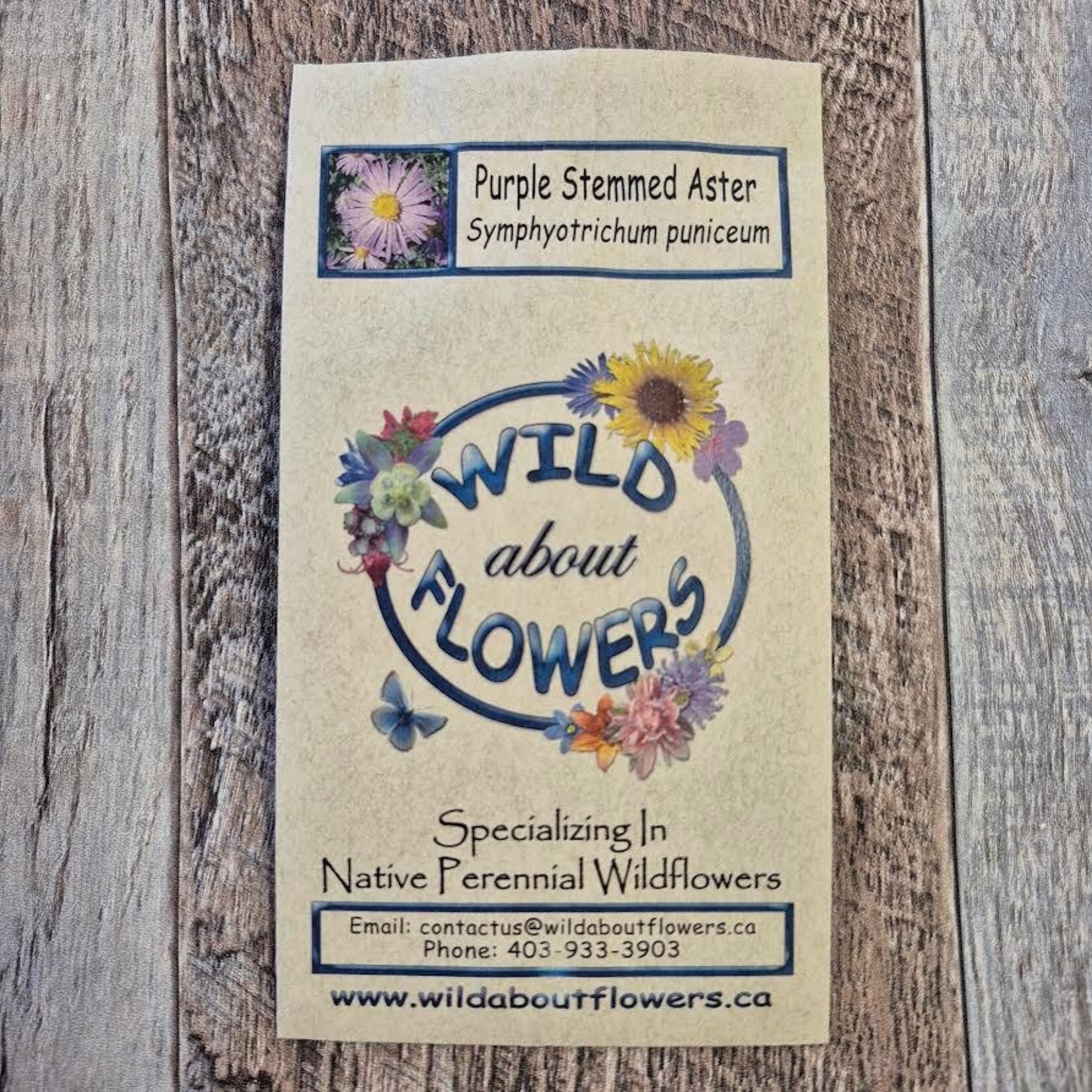 Wildflowers Seed Package - Purple Stemmed Aster