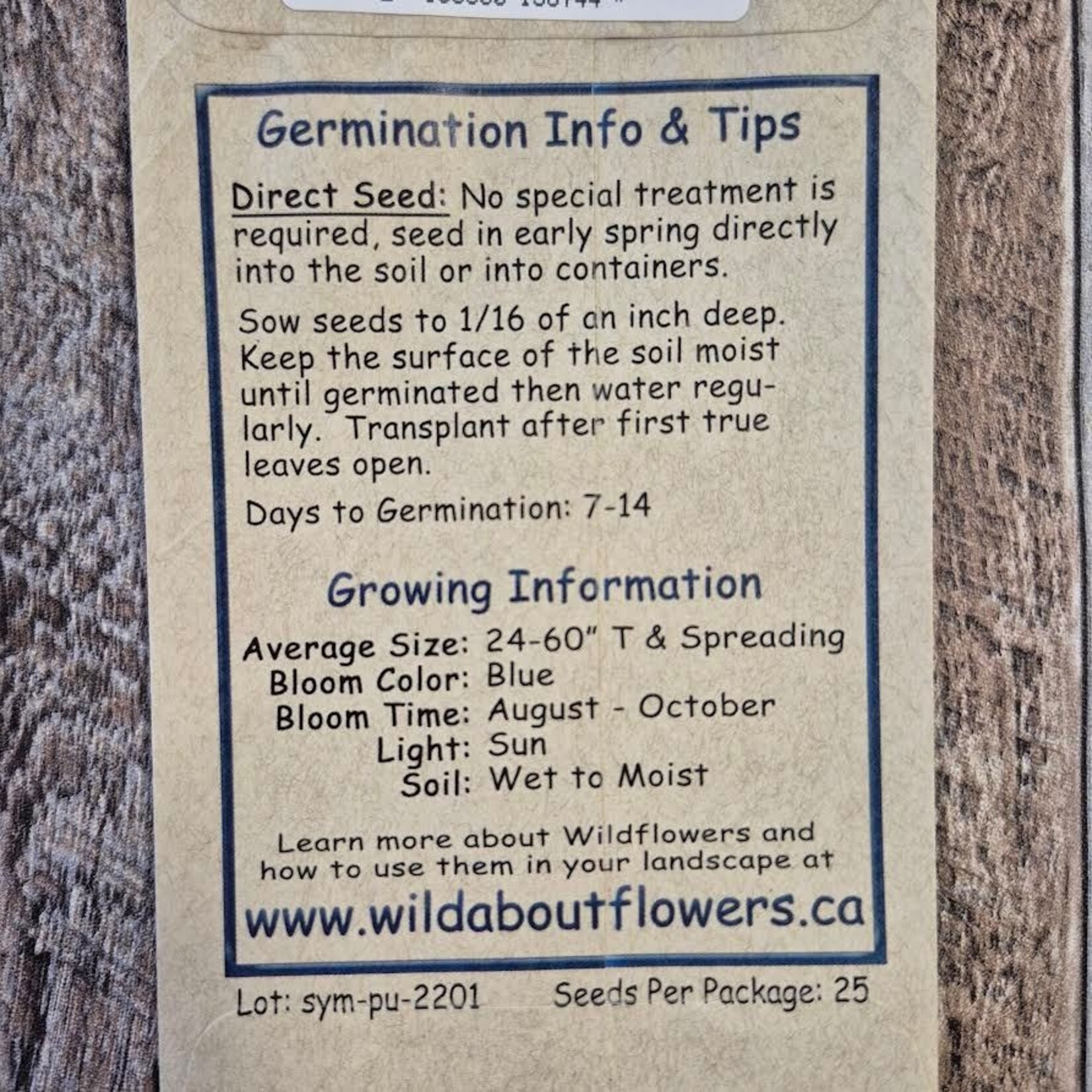 Wildflowers Seed Package - Purple Stemmed Aster