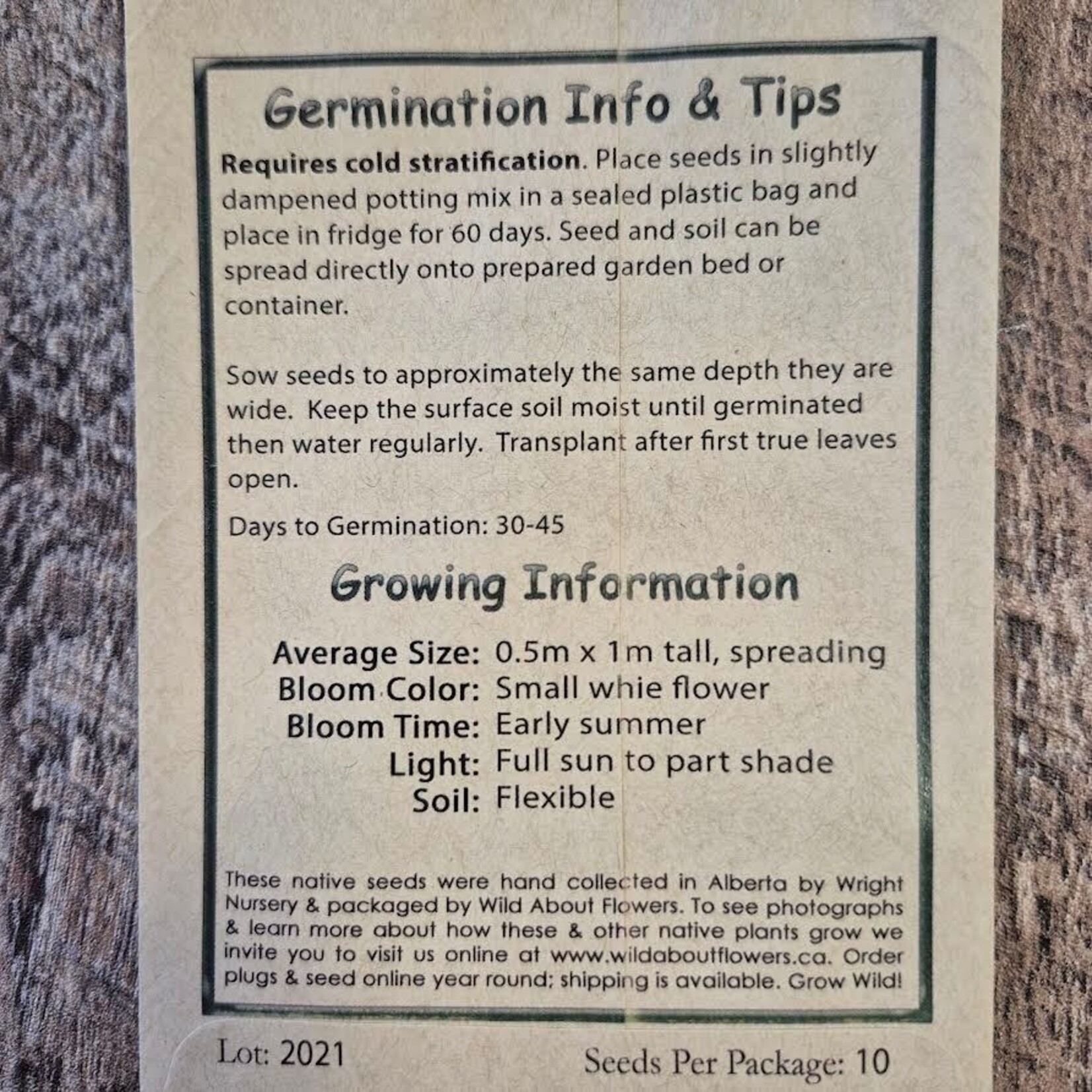 Wildflowers Seed Package - Wild Red Raspberry