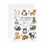 Jaybee Design - Happy Birthday To the Craziest Cat Lady