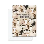 Jaybee Design - Have A Purr-Fect Birthday!