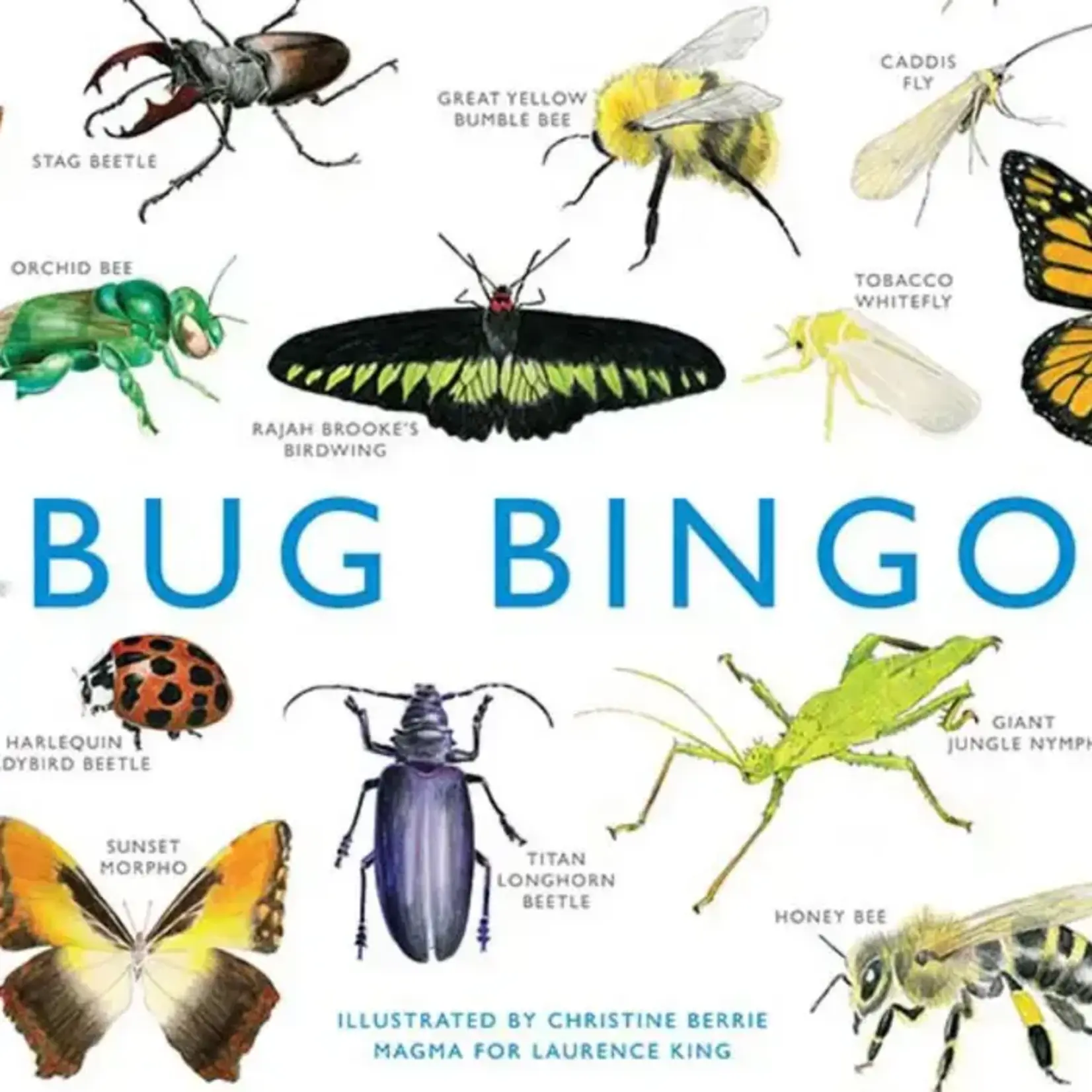 Bug Bingo
