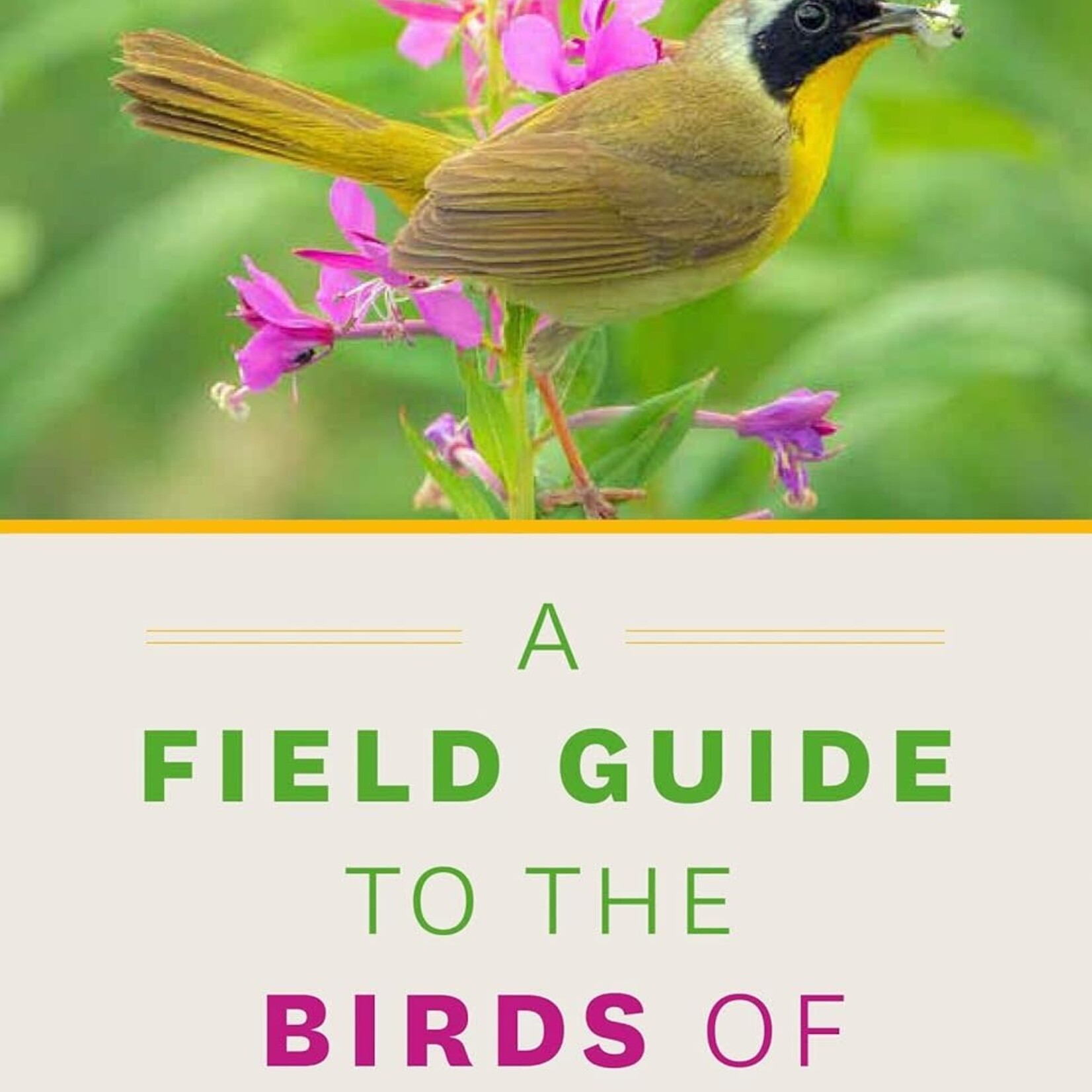 A Field Guide To The Birds of Alberta by David Scott and Gavin McKinnon