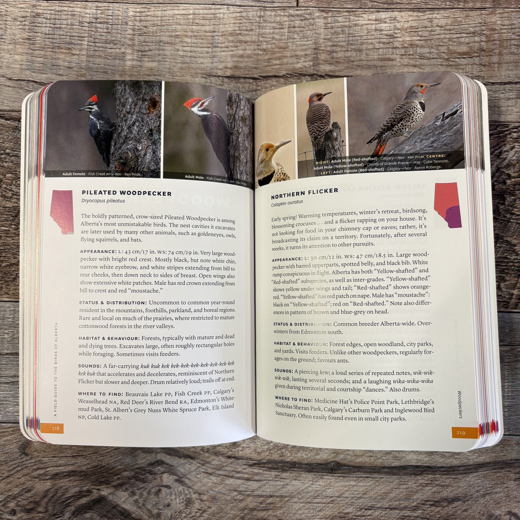 A Field Guide To The Birds of Alberta by David Scott and Gavin McKinnon
