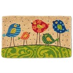 Doormat - Colourful Birds on Grass