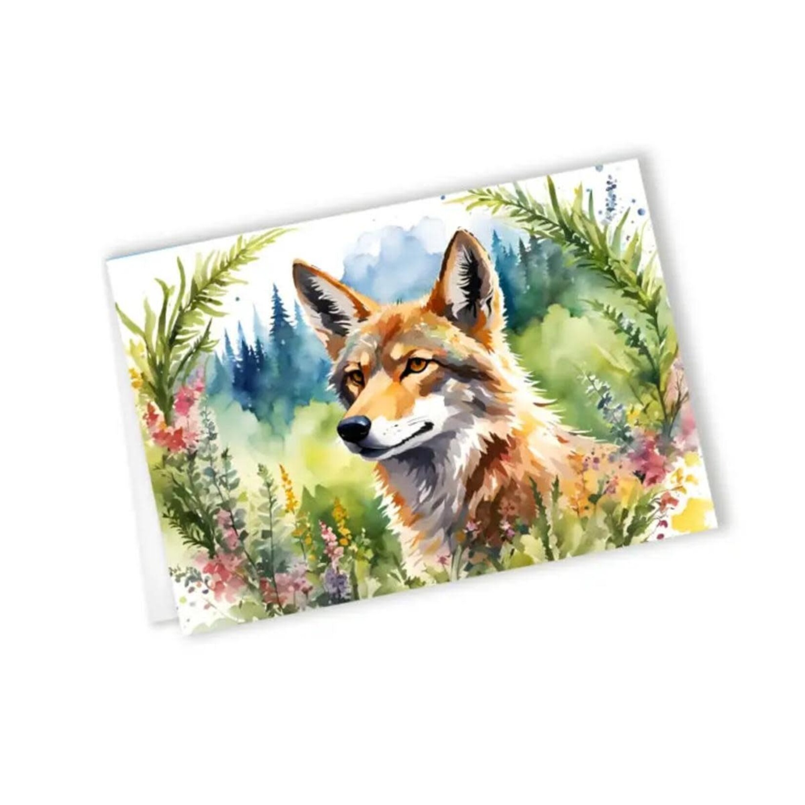 Terri McLaughlin Greeting Card - Coyote