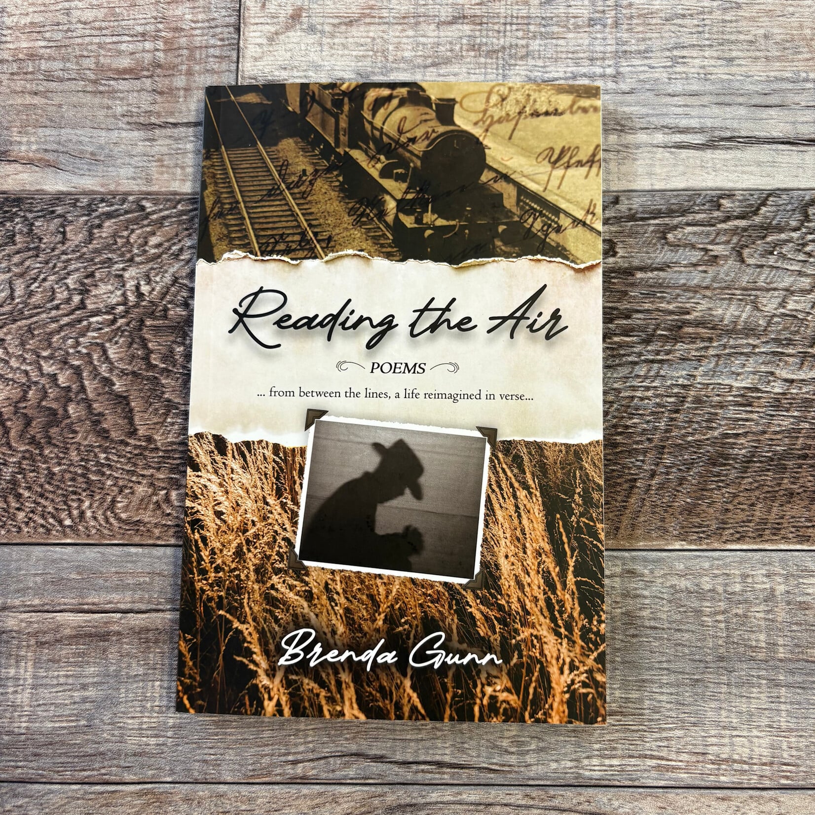 Reading the Air Poetry Book by Brenda Gunn