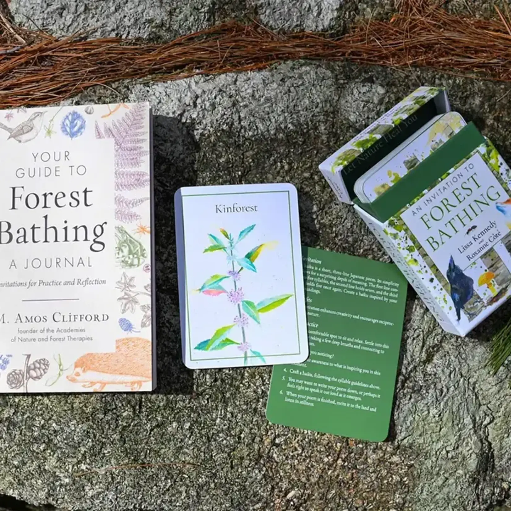 An Invitation To Forest Bathing