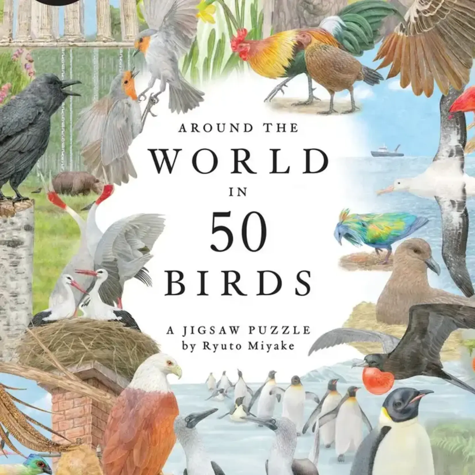 Around the World in 50 Birds 1000 Piece Puzzle