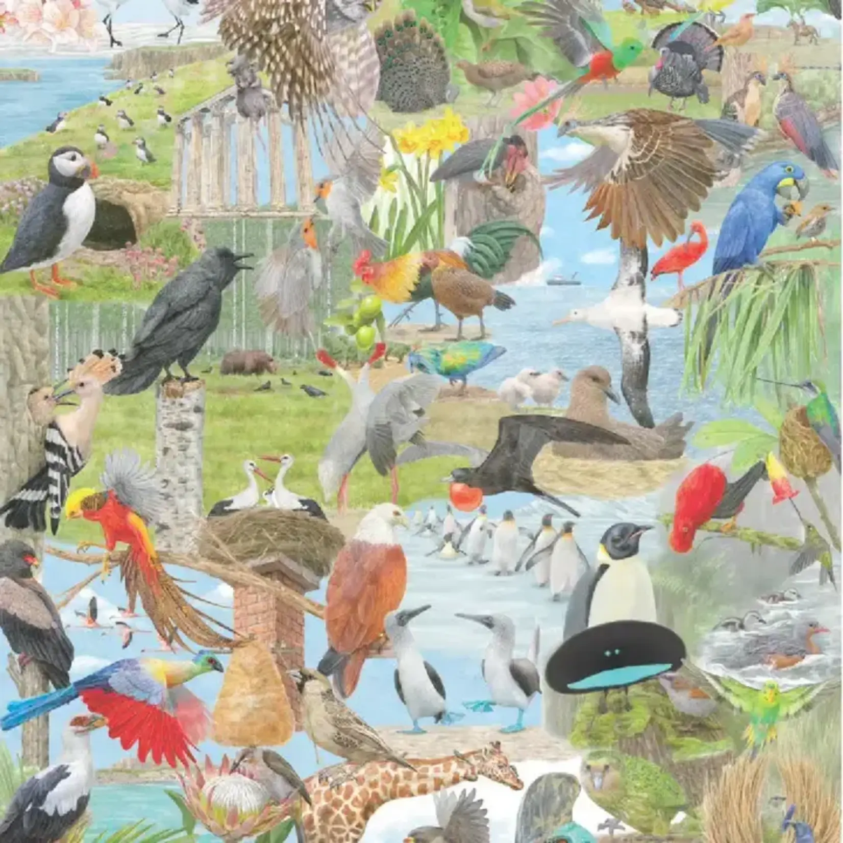 Around the World in 50 Birds 1000 Piece Puzzle