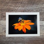 Angela Hindmarsh Photography Greeting Card - Bee on Orange Flower
