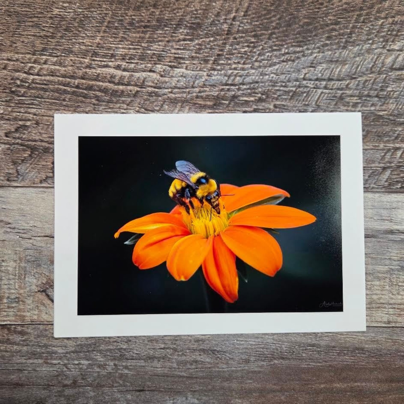 Angela Hindmarsh Photography Greeting Card - Bee on Orange Flower