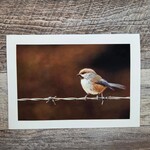 Angela Hindmarsh Photography Greeting Card - Boreal Chickadee