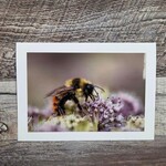 Angela Hindmarsh Photography Greeting Card - Bee