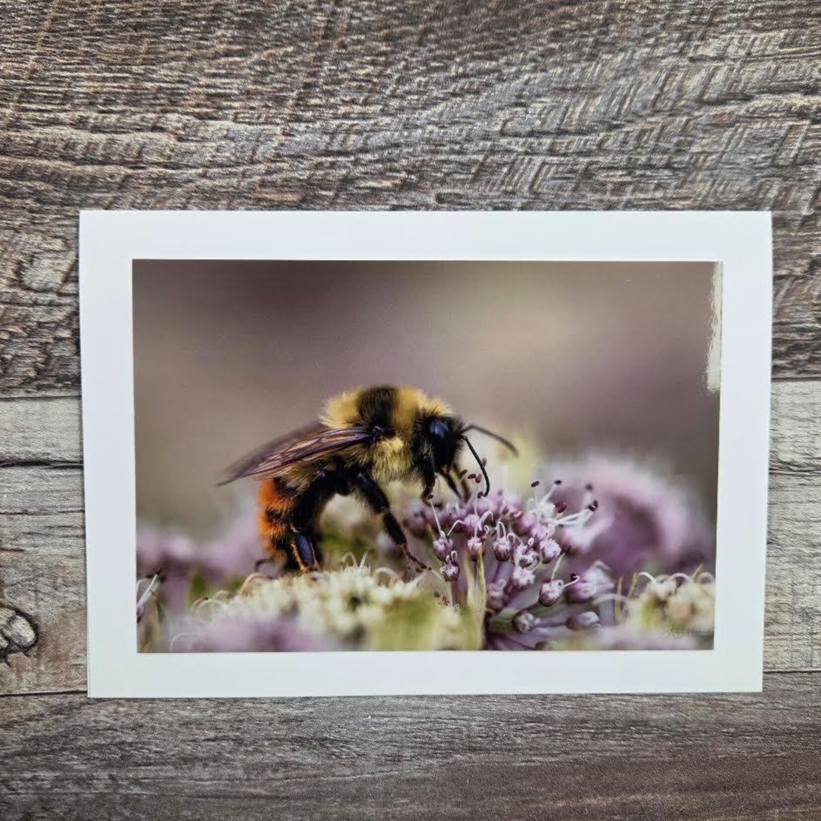 Angela Hindmarsh Photography Greeting Card - Bee