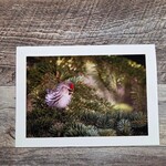 Angela Hindmarsh Photography Greeting Card - Redpoll