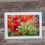 Angela Hindmarsh Photography Greeting Card - Flowers
