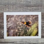 Angela Hindmarsh Photography Greeting Card - Yellow-headed Blackbird Green