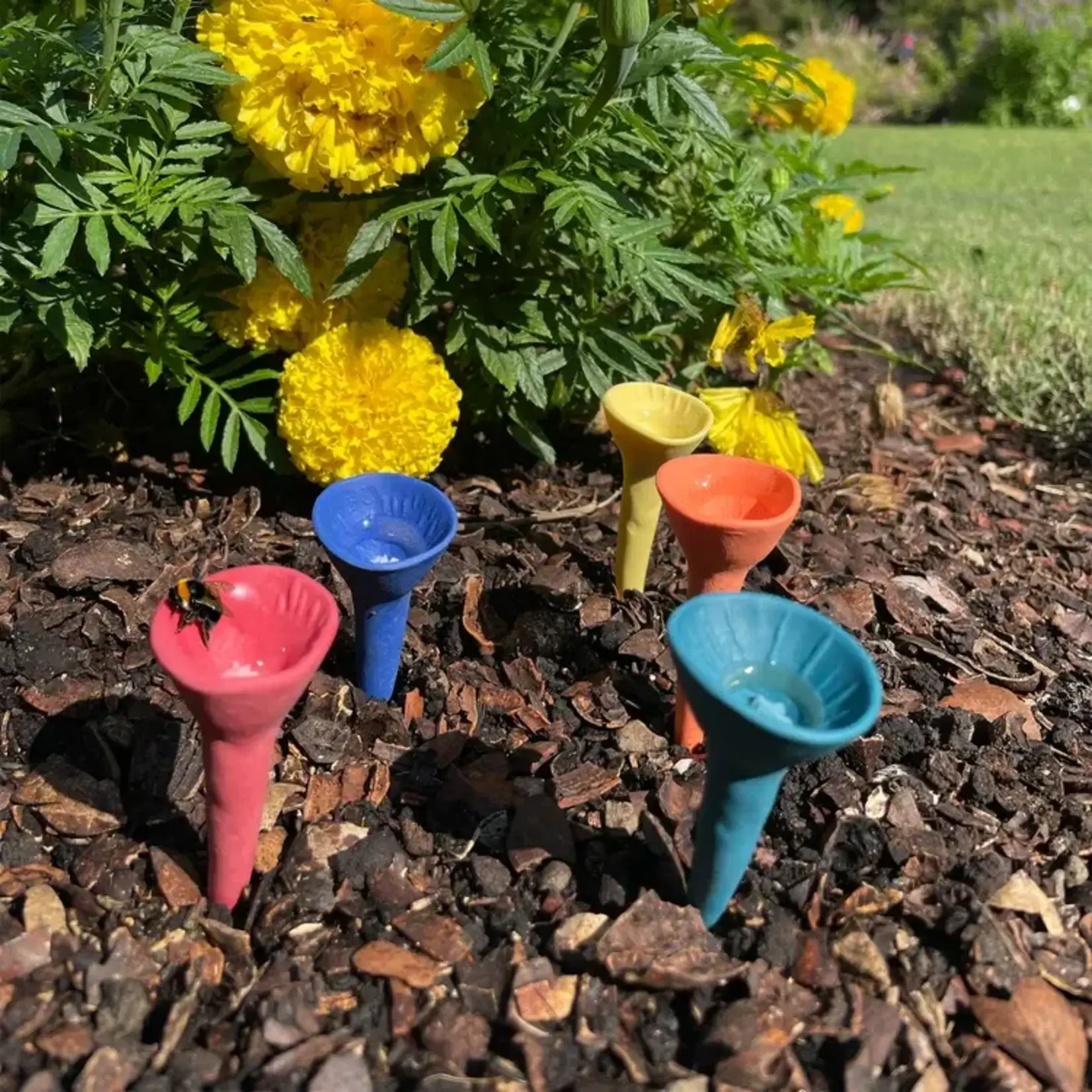 Bee Cups 5 pack - Bold Colour Variety