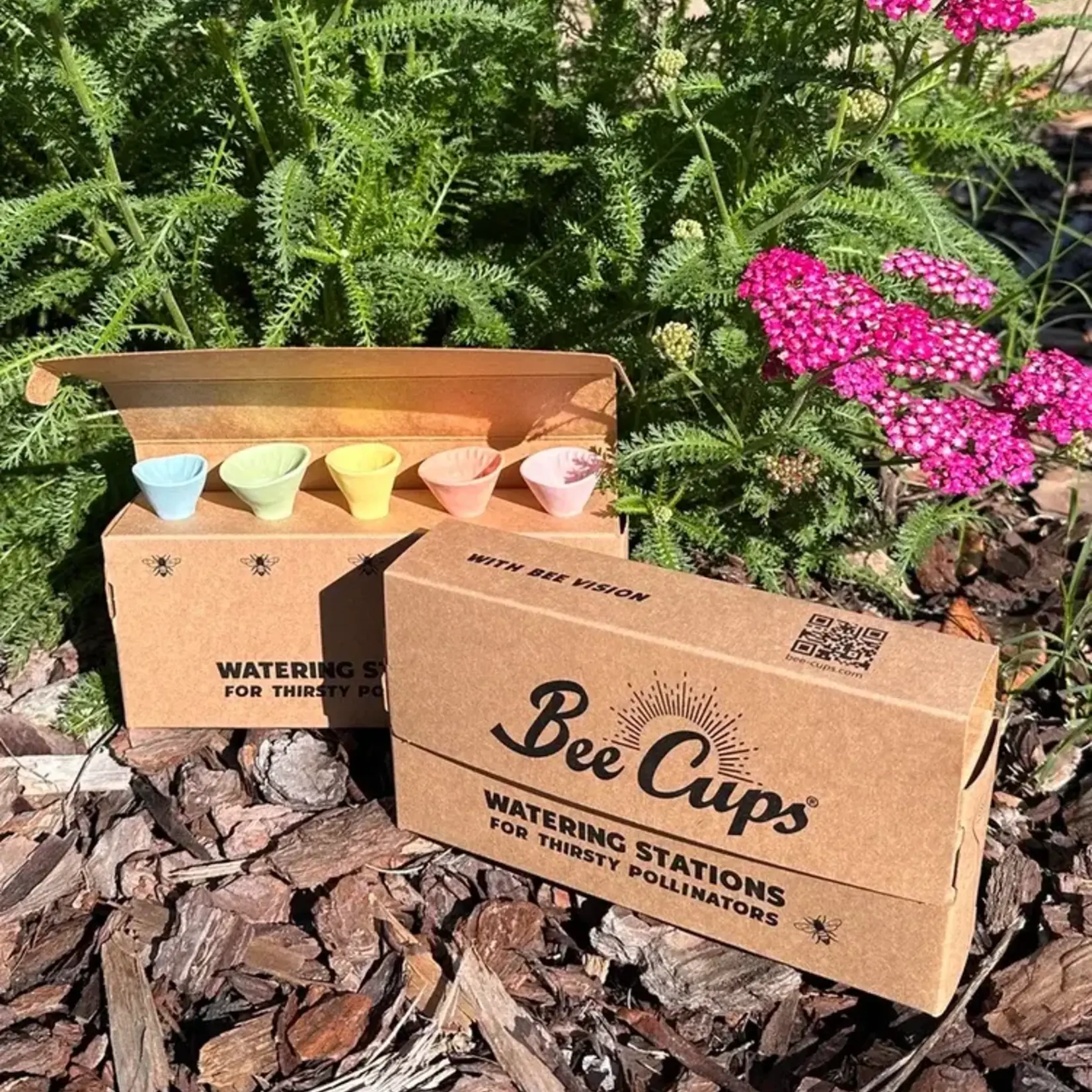 Bee Cups 5 pack - Pastel Colour Variety