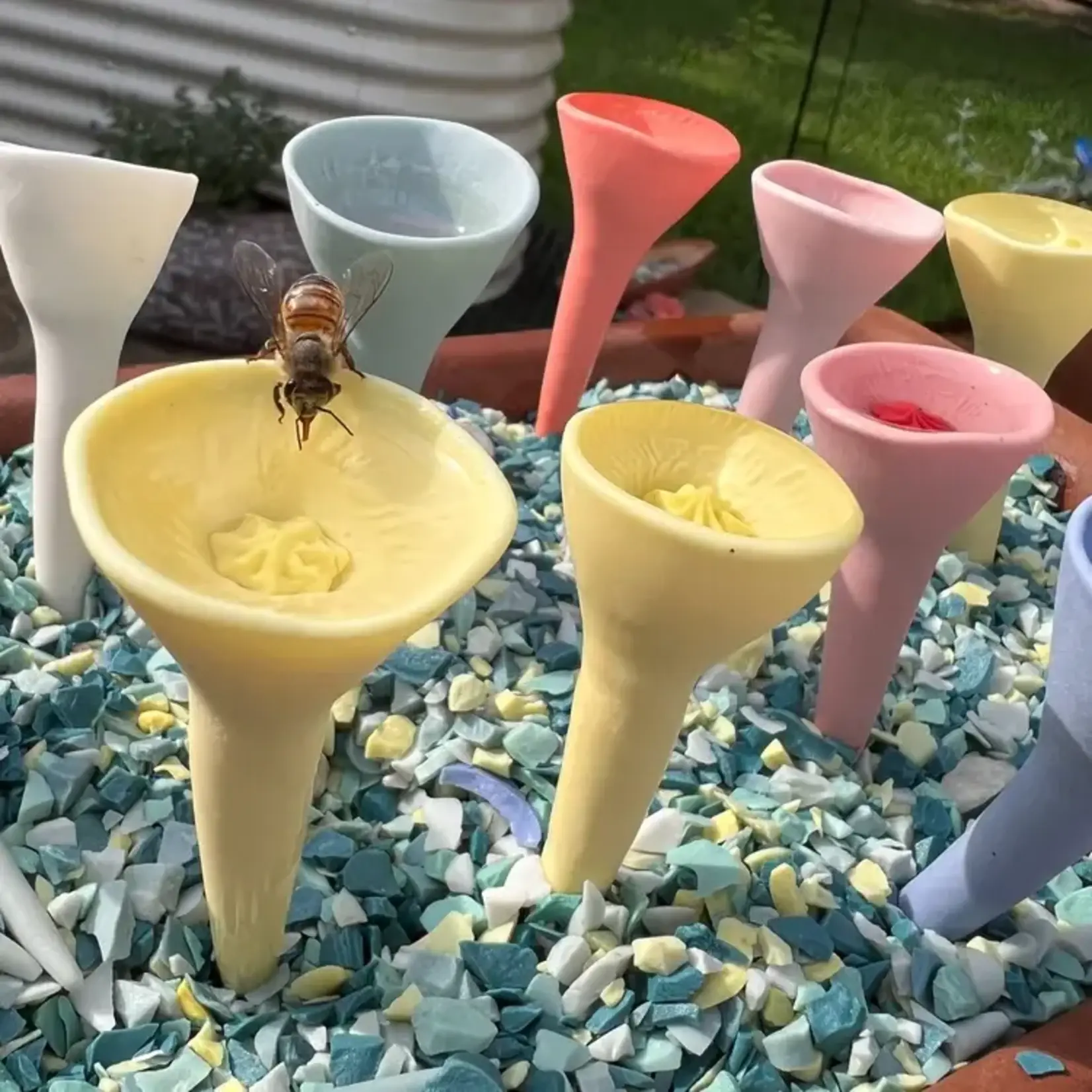 Bee Cups 5 pack - Pastel Colour Variety