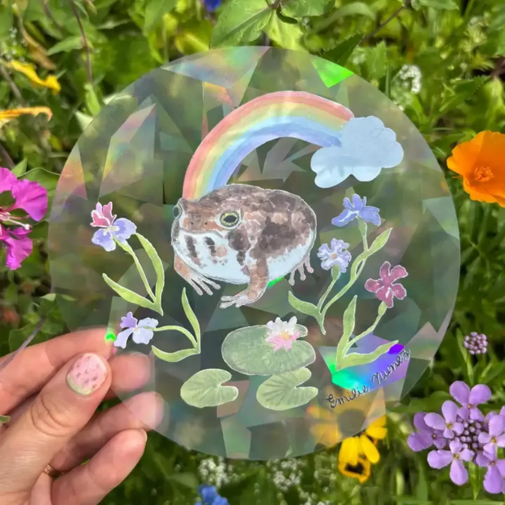 Emelie Nunez Art Suncatcher - Grumpy Rain Frog