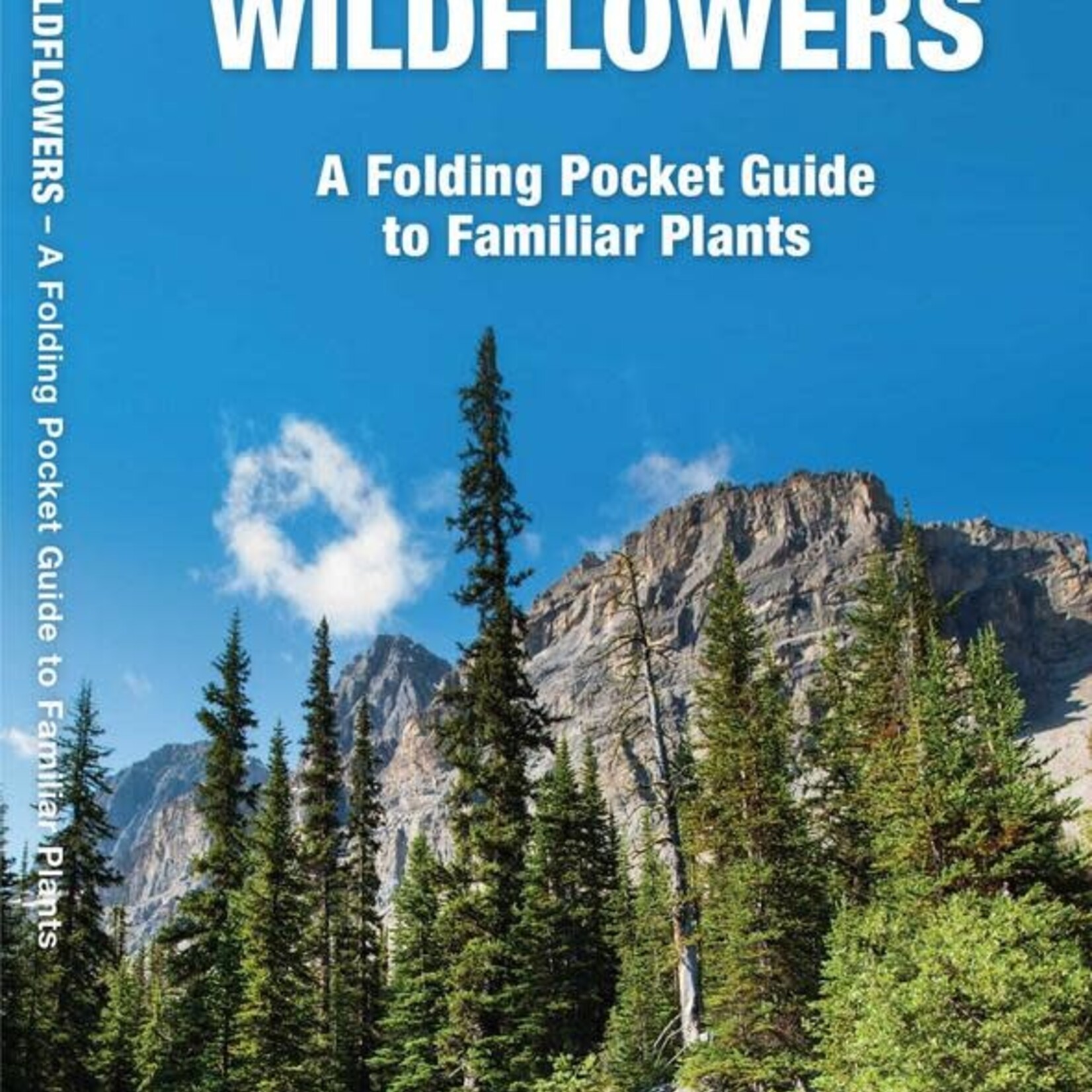 Folding Pocket Guide: Alberta Trees & Wildflowers