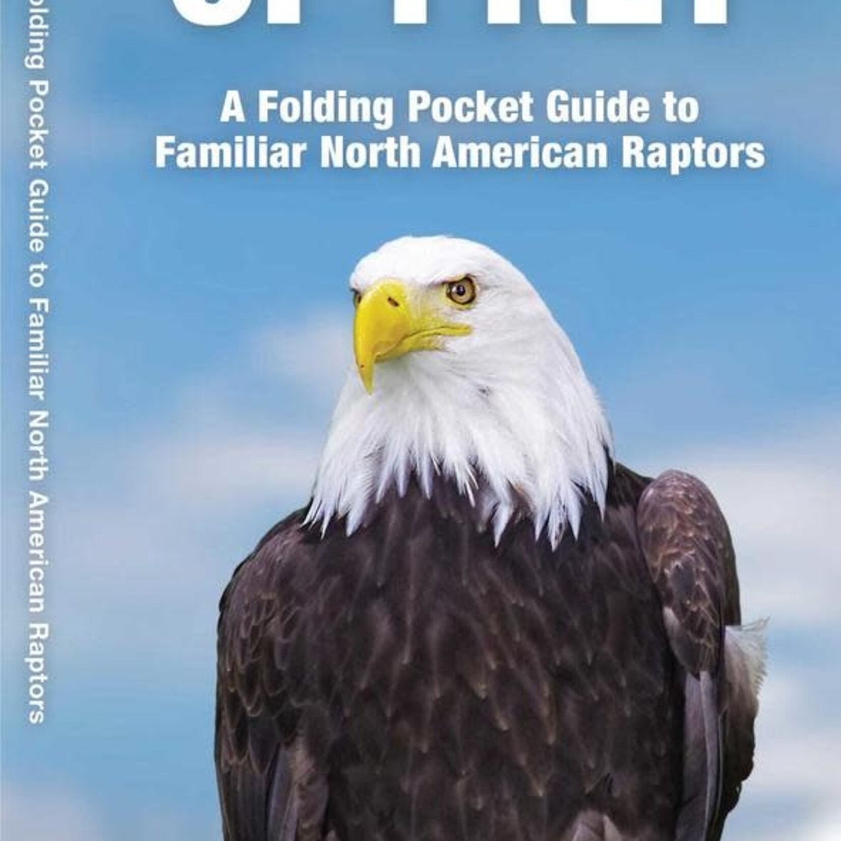 Folding Pocket Guide: Birds of Prey