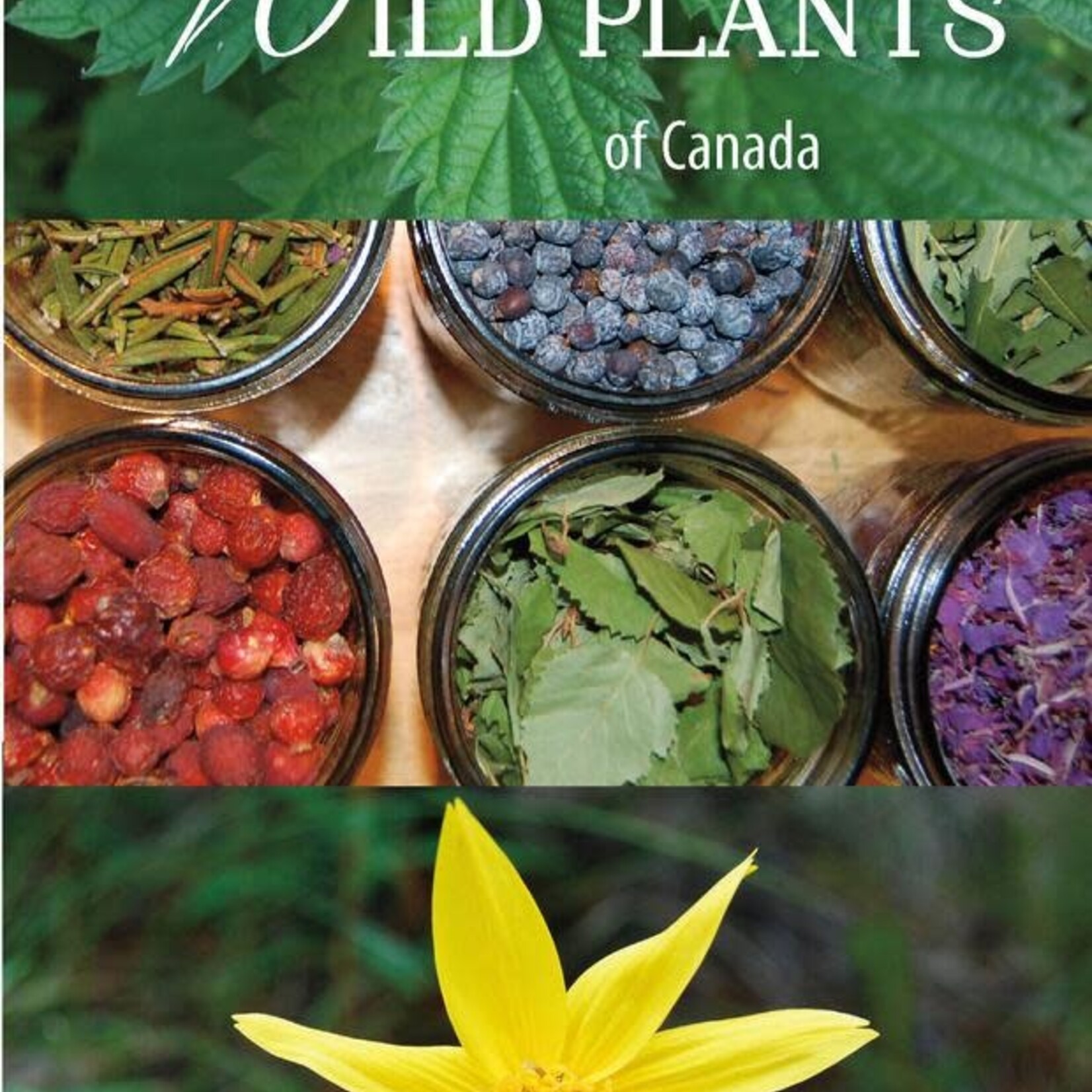 Field Guide to Medicinal Wild Plants of Canada