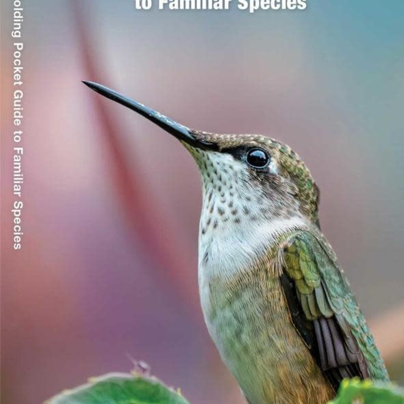 Folding Pocket Guide:  Hummingbirds 3rd Edition
