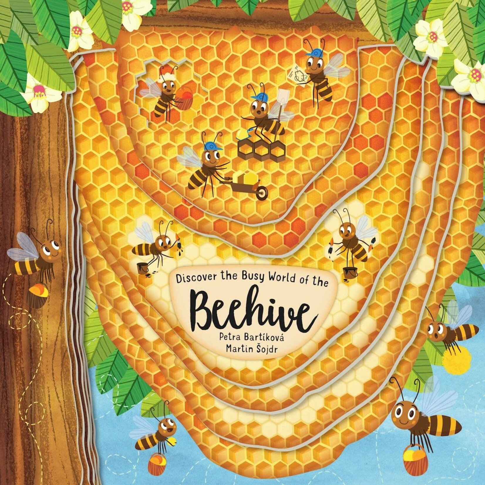 Discover the Busy World of the Beehive