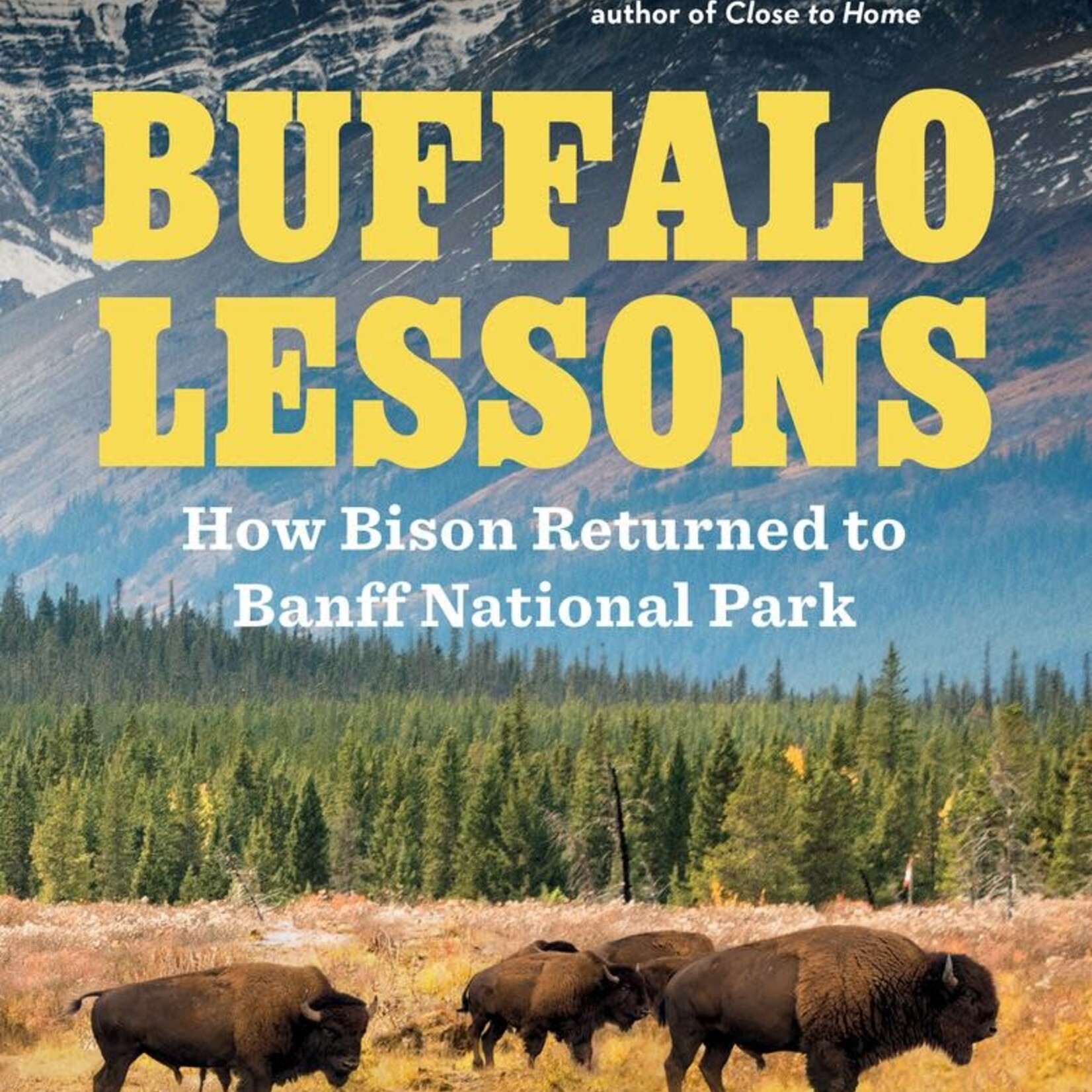 Buffalo Lessons