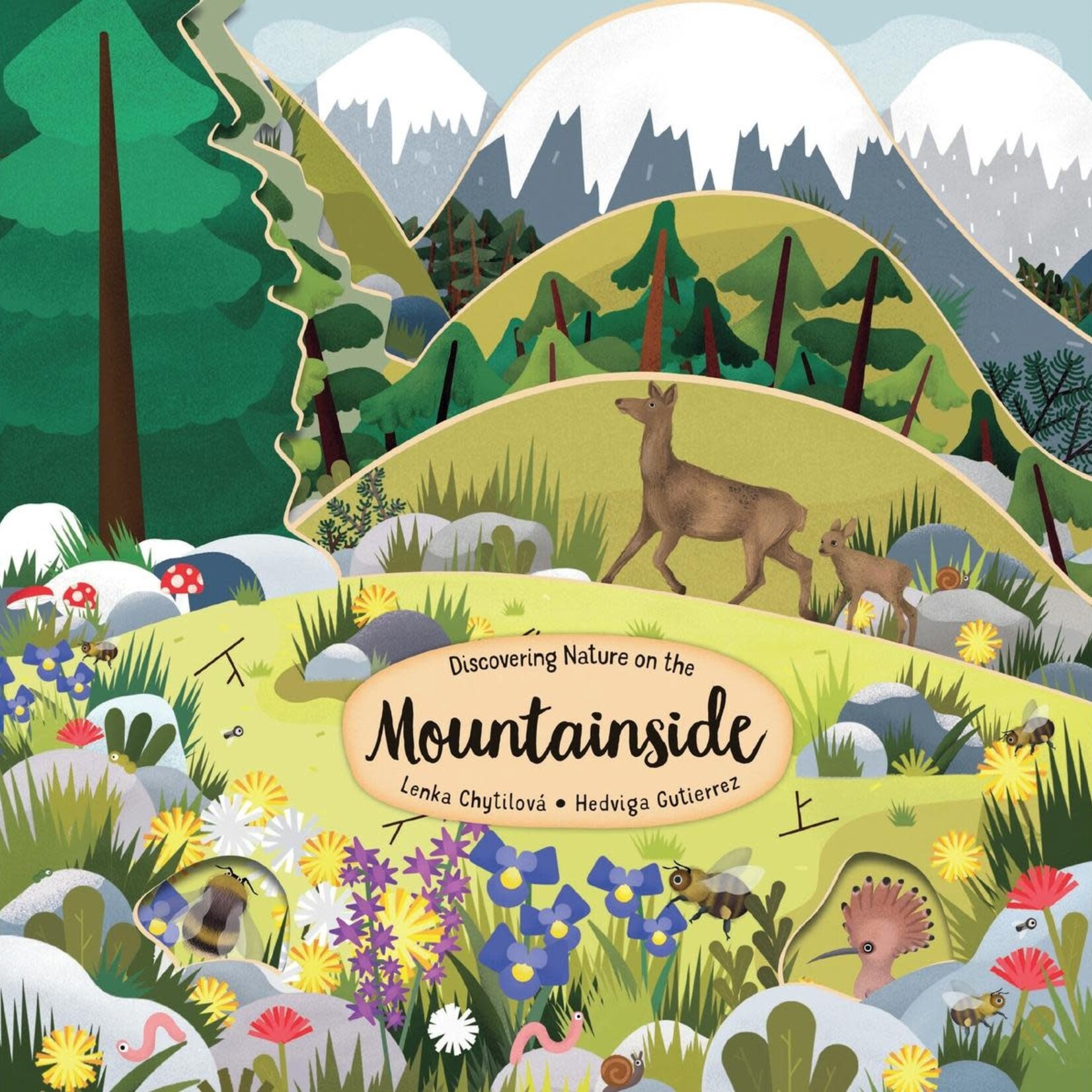 Discovering Nature on the Mountainside Book